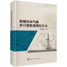裂缝性油气藏多尺度数值模拟方法