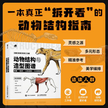 动物结构与造型图谱