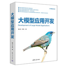 大模型应用开发（人工智能技术丛书）