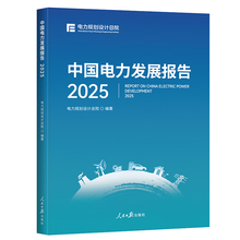 中国电力发展报告.2025