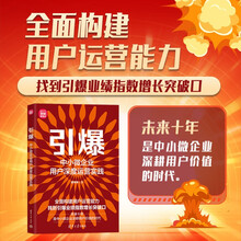 引爆：中小微企业用户深度运营实践（新时代·营销新理念）