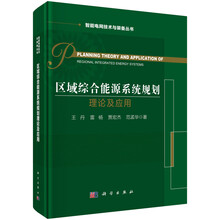 区域综合能源系统规划理论及应用