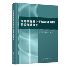 堆芯高保真中子输运计算的多级加速理论