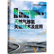 天然气掺氢关键技术及应用