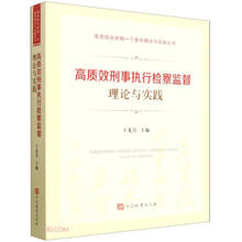高质效刑事执行检察监督理论与实践/高质效办好每一个案件理论与实践丛书