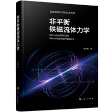 非平衡铁磁流体力学（杨文明）