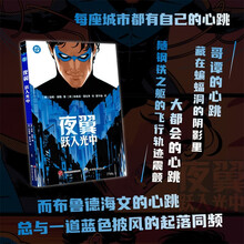 夜翼：跃入光中