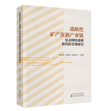 战略性矿产资源产业链复杂网络建模和风险管理研究