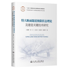 特大断面隧道极限状态理论及建造关键技术研究