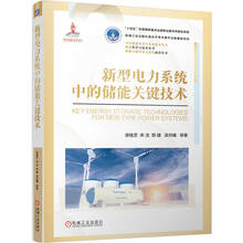 新型电力系统中的储能关键技术