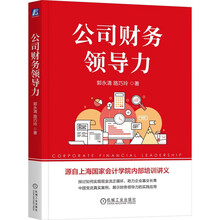 公司财务领导力