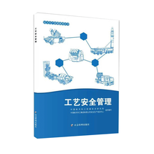 工艺安全管理（安全生产培训系列丛书）