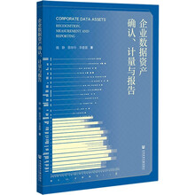 企业数据资产确认、计量与报告
