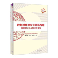 数智时代的企业创新战略