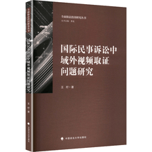 国际民事诉讼中域外视频取证问题研究