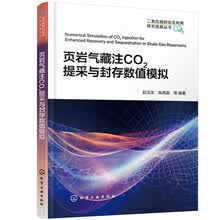 页岩气藏注CO2提采与封存数值模拟
