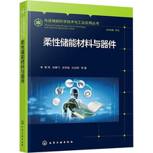 先进储能科学技术与工业应用丛书--柔性储能材料与器件