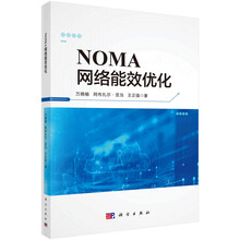 NOMA网络能效优化