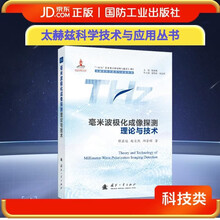 毫米波极化成像探测理论与技术