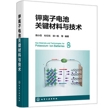 钾离子电池关键材料与技术