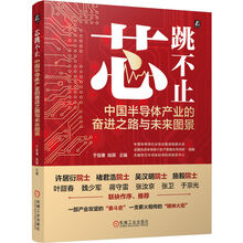 芯跳不止：中国半导体产业的奋进之路与未来图景