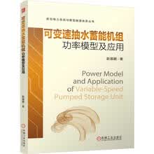 可变速抽水蓄能机组功率模型及应用