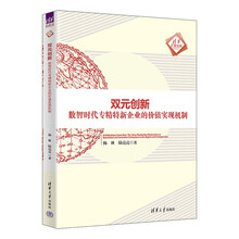 双元创新（数智时代专精特新企业的价值实现机制）（清华汇智文库）