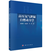 高压氢气泄漏自燃动力学
