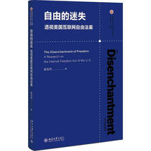 自由的迷失：透视美国互联网自由法案