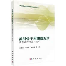 黄河骨干枢纽群泥沙动态调控模式与技术