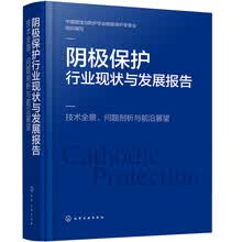 阴极保护行业现状与发展报告：技术全景、问题剖析与前沿展望