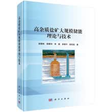 高杂质盐矿大规模储能理论与技术