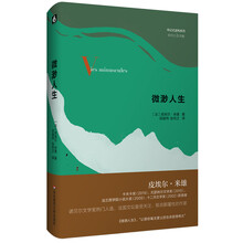 微渺人生（传记式虚构系列）