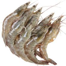基围虾虾类 海鲜水产 生鲜