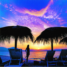 一日游 免费早接晚送 无购物 轻松华山-西峰索