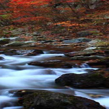 珠海拱北口岸澳门或澳港联游\/团签\/L签过关办
