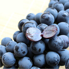 【七果果 夏黑葡萄1.5kg 马陆葡萄 新鲜葡萄 新