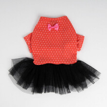 宾比熊冬装 金龟子变身装 XS衣长19颈20胸27