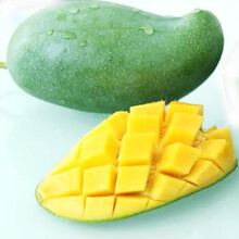 【树懒果园 攀枝花凯特芒果 2.5kg 新鲜水果大