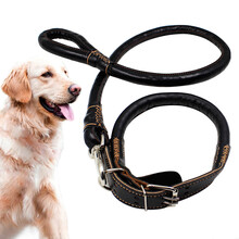 【多尼斯DOGNESS宠物牵引带狗用品牵引绳