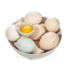 密园小农 土鸡蛋白皮散养柴鸡蛋 60枚 约3kg