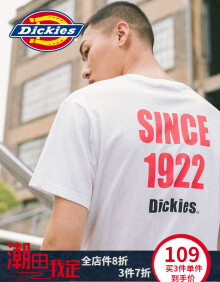 Dickies前后字母印花短袖T恤 全棉休闲圆领TEE DK006100 WH M/170