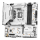 【终结者】Z790M D5 ICE