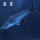 蓝鲨20-22cm1条