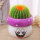 金冠仙人球+紫蘑菇陶瓷盆