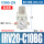 IRV20-C10BG
