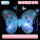 蝴蝶翅膀【3件套|发光|双层|蓝】