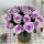 紫霞仙子玫瑰20朵+配草