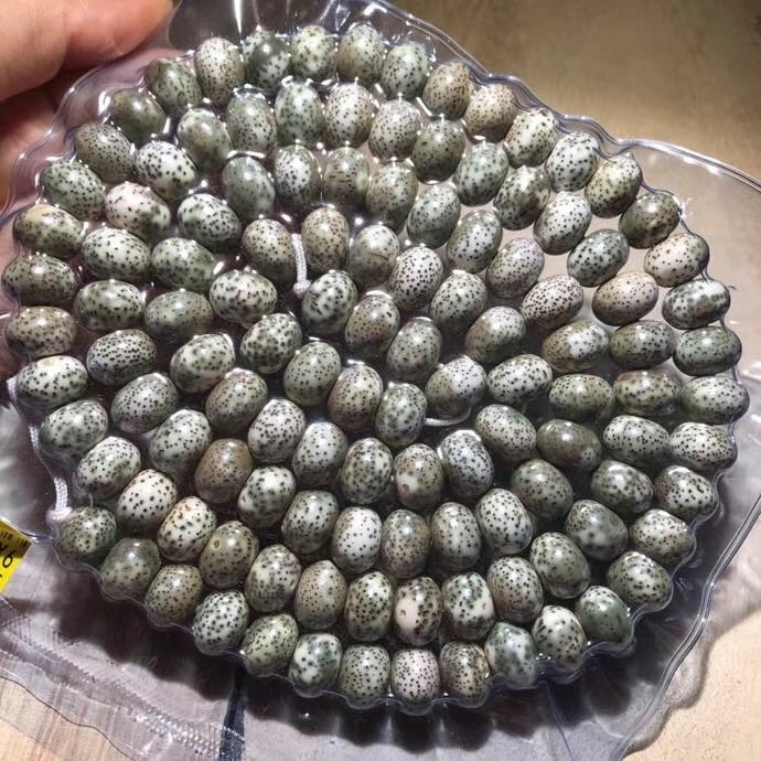 星月菩提全阴皮规格913mm