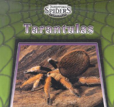 【预订】tarantulas